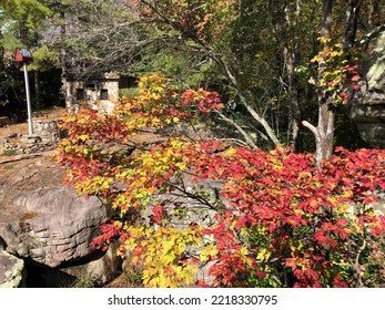 Fall Season, Beautiful View, Rock City, Tennessee