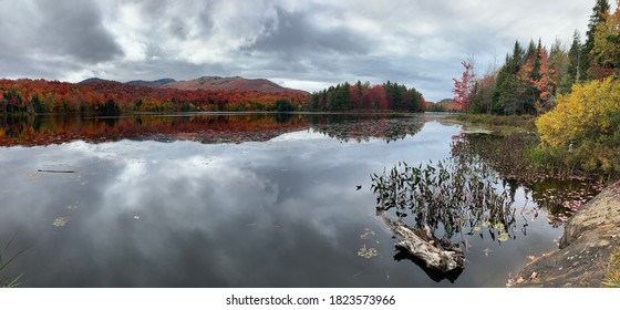 Fall Season Colors In Orford, Estrie, Quebec