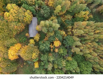 Fall Season In Rural Area Above Top Drone View