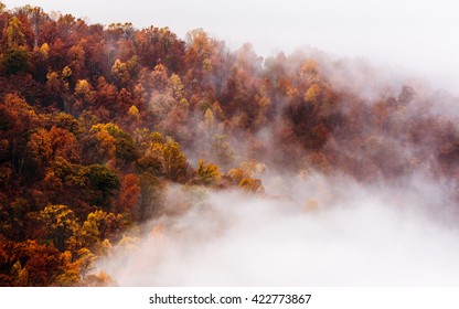 Fall Season In Shenandoah National Park