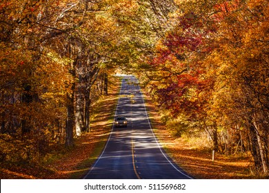 Fall Season At Skyline Drive. Shenandoah National Park