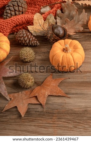 fall, seasonal background with dried autumn leaves, cones and fall vegetables on wooden table or surface. seasonal greeting. dry fruits, autumn leaf and pumpkin on wooden table with copy space