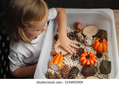 Fall Sensory Bin. Toddler Playing With Pumpkins, Cones And Dried Beans In Sensory Box. Educational Game. Learning Through Play. Montessori Material. Sensory Play Ideas And Autumn Nature Crafts 