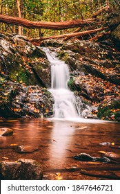 Fall at Shenandoah National Park 
