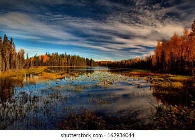 Fall Sky On The Kenai Peninsula