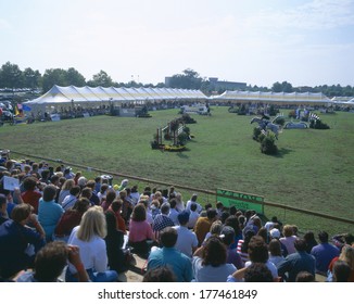 Fall Steeple Chase, Columbia, Maryland