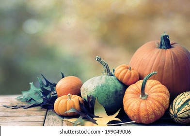 Fall Still Life with pumpkins and gourds against colorful background with room or space for copy, text.  Horizontal with vintage cross process.