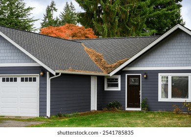 Fall storm leaf and pine needle debris on residential house roof and green lawn
