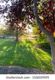 Fall Sunset In Nampa, Idaho