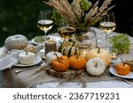 Fall table decoration with pumpkins, wine. Family thanksgiving dinner arrangement outdoors in the garden. Countryside style, simple handmade setting, autumn mood