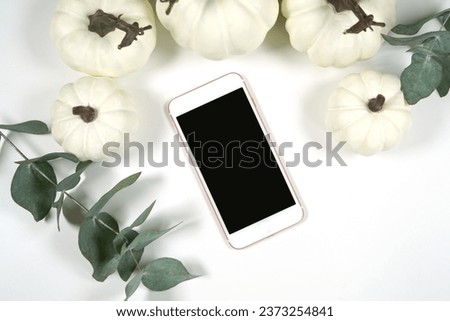 Fall Thanksgiving Dinner Product Mockup. Blank cellphone smart phone eVite eCard mock up on vintage plates styled with white pumpkins on minimalist background.