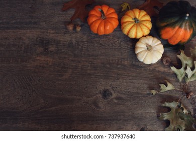 Fall Thanksgiving And Halloween Pumpkins, Leaves, Acorn Squash Over Dark Wood Table Background Shot From Directly Above
