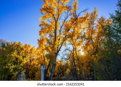 Fall Time In Rifle Colorado