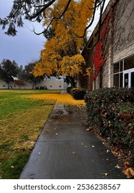 Fall time at UC Davis
