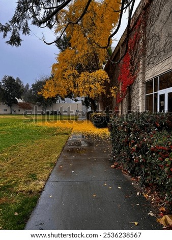 Fall time at UC Davis