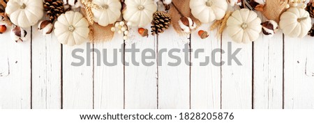 Fall top border of white pumpkins and brown autumn decor. Above view on a white wood banner background with copy space.