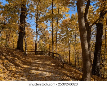 Fall trail yellow leafs wooden railing  - Powered by Shutterstock