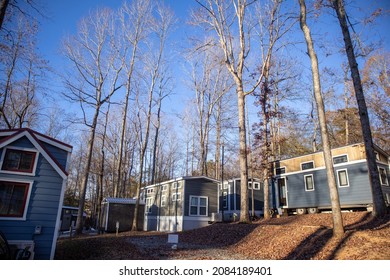 Fall Trees And Blue Sky In Travelers Rest Tiny Houses Community