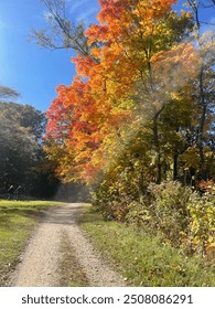 Fall trees changing colors walking trail