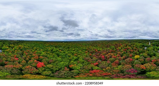 Fall Trees Changing Colours  Tree Tops Red Orange Yellow