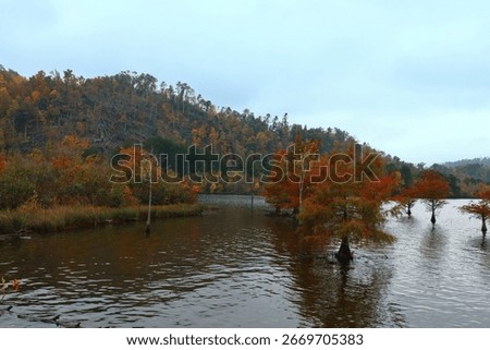 Fall trees in the Ocoee River