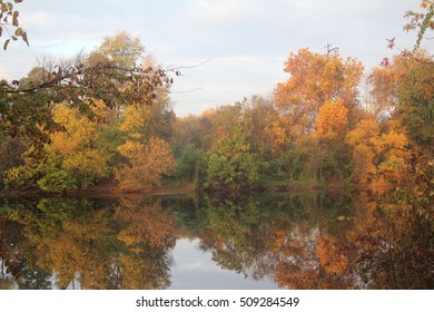 Fall Trees On The Schuylkill River