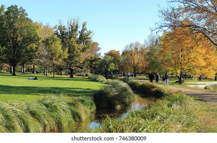 Fall Trees On A Sunny Day In Washington Park - Denver Colorado