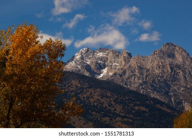 Fall trees with a snow capped mountain in the background