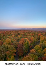 Fall Trees In Tucker County, West Virgonia