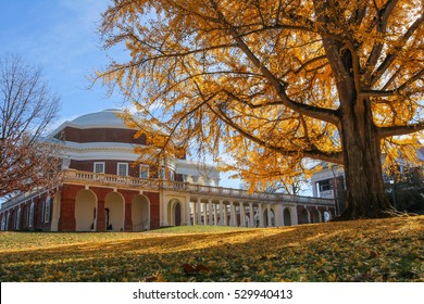 Fall At The University Of Virginia, Charlottesville