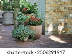 fall veranda decor with chrysanthemums