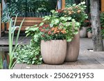 fall veranda decor with chrysanthemums