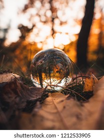 Fall Vibes Captured In My Lensball