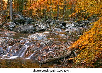 Fall View Of Holly Creek In Rural Northwest Georgia