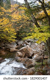 Fall View Into Crawford Notch