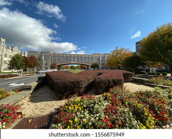 Fall At The Virginia Tech Campus