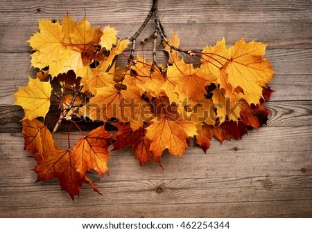 Fall Wooden Wallpaper