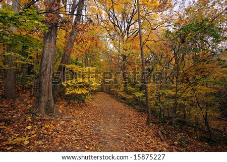 Fall in Washington DC, Rock Creek park