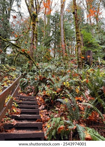 Fall in Washington State, nothing compares to the PNW
