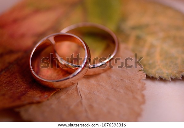 Fall Wedding Rings Leaves Stock Photo Edit Now 1076593316