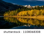 Fall yellow aspens reflected in lower twin lake outside Bridgeport CA with the saw tooth ridge in Yosemite National Park in the background