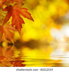 Fall.Autumn Background - Powered by Shutterstock