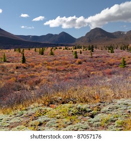 Fall-colored Alpine Tundra Landscape In The Yukon Territory, Canada.