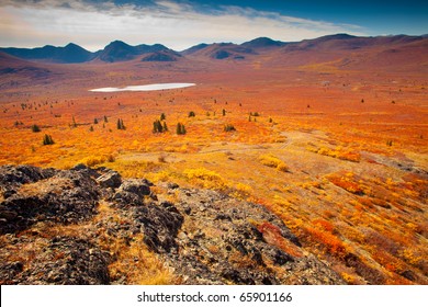 Fall-colored Alpine Tundra, Yukon Territory, Canada.