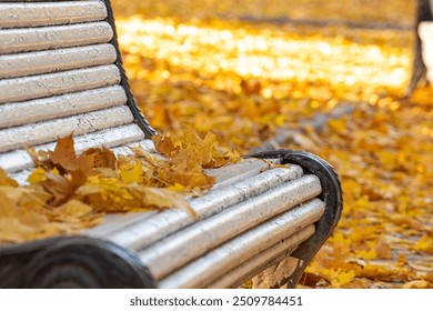 Fallen autumn foliage on a park bench on a sunny, warm autumn day. Blurred background - Powered by Shutterstock