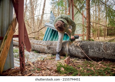 The Fallen Big Tree Broke The Fence. Removal Of A Fallen Tree In The Yard Of The House, Repair Of The Fence.