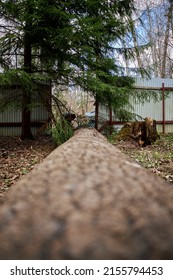 The Fallen Big Tree Broke The Fence. Removal Of A Fallen Tree In The Yard Of The House, Repair Of The Fence.