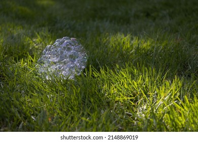 Fallen Bubble Cluster Sitting In Cut Lawn.