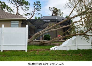 Fallen down big tree caused damage of yard fence after hurricane Ian in Florida. Consequences of natural disaster