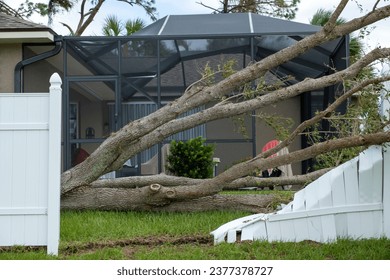 Fallen down big tree caused damage of yard picket fence after hurricane in Florida. Consequences of natural disaster